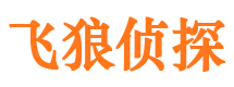 达日侦探